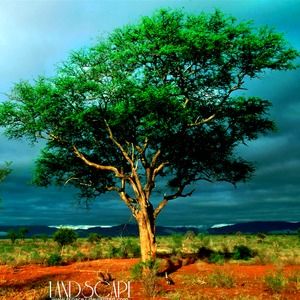 Meet your Posher, Herman